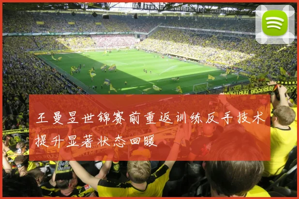 王曼昱世锦赛前重返训练反手技术提升显著状态回暖