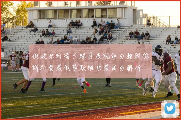 德波尔对荷兰球员表现评分赖因德斯科曼最低萨默维尔最高分解析
